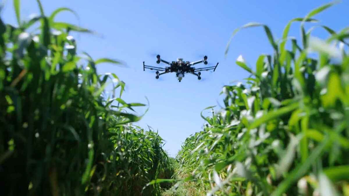 Revolutionizing Agriculture: The Role of Agricultural Drones in Auburn, Alabama